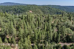 4852 Blue Mountain Rd, Wilseyville, CA 95257 - Photo 63