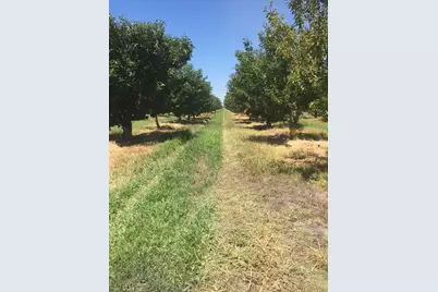 1099 Lemon Avenue, Patterson, CA 95363 - Photo 11
