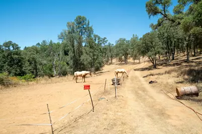 7071 Bayne Road, Placerville, CA 95667 - Photo 51