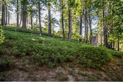 2707 Navajo Drive, Dorrington, CA 95223 - Photo 33