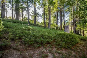 2707 Navajo Dr, Dorrington, CA 95223 - Photo 33
