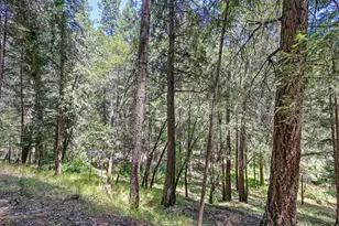 4599 Rivendale Rd, Placerville, CA 95709 - Photo 37