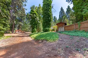 14207 Tim Burr Ln, Grass Valley, CA 95945 - Photo 59