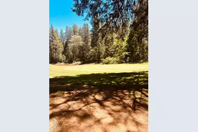 01 Forest Meadows Drive, Murphys, CA 95247 - Photo 5