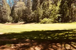 01 Forest Meadows Dr, Murphys, CA 95247 - Photo 5