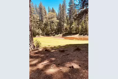 01 Forest Meadows Drive, Murphys, CA 95247 - Photo 15