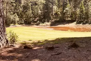 01 Forest Meadows Dr, Murphys, CA 95247 - Photo 15