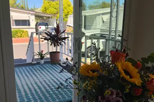 Calle Maria, Elk Grove, CA 95624 - Photo 55
