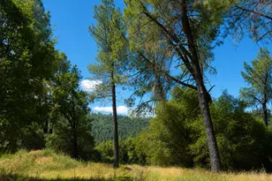 6600 Happy Valley Rd, Somerset, CA 95684 - Photo 13