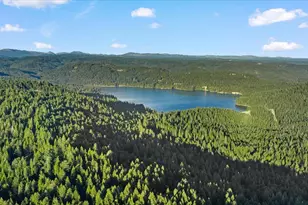 19975 Scotts Flat Rd, Nevada City, CA 95959 - Photo 11