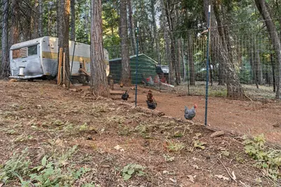 19975 Scotts Flat Road, Nevada City, CA 95959 - Photo 51