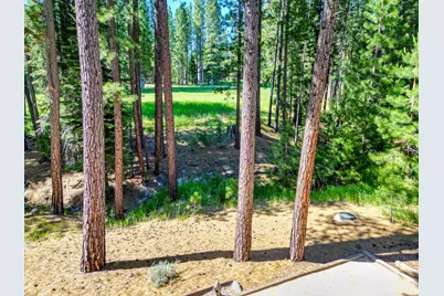 243 Black Bear Trail, Clio, CA 95746 - Photo 51
