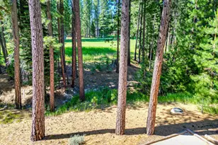 243 Black Bear Trail, Clio, CA 95746 - Photo 51