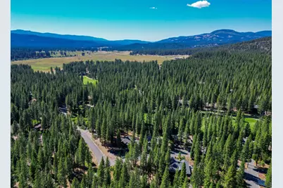 243 Black Bear Trail, Clio, CA 95746 - Photo 53