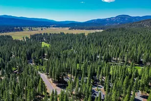 243 Black Bear Trail, Clio, CA 95746 - Photo 53