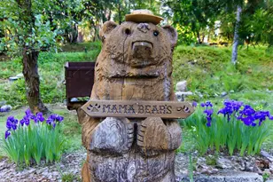 17452 Lake Vera Purdon Rd, Nevada City, CA 95959 - Photo 81