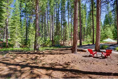 292 McKenzie Trail, Clio, CA 96106 - Photo 9