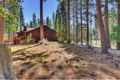 292 McKenzie Trail, Clio, CA 96106 - Photo 5