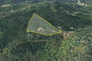 1480 Gelding Rd, Angels Camp, CA 95222 - Photo 49