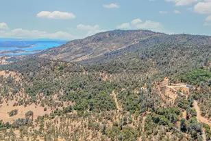 1480 Gelding Rd, Angels Camp, CA 95222 - Photo 67