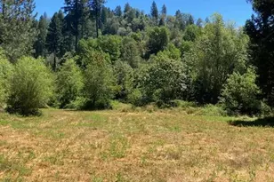 12948 Baker, Camptonville, CA 95922 - Photo 33