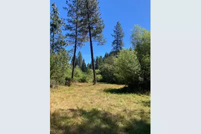 12948 Baker, Camptonville, CA 95922 - Photo 31