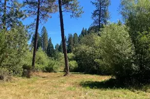 12948 Baker, Camptonville, CA 95922 - Photo 31
