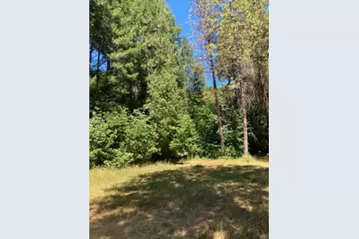 12948 Baker, Camptonville, CA 95922 - Photo 23