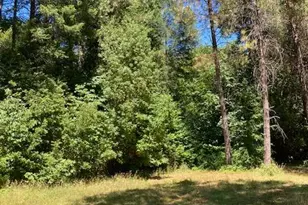 12948 Baker, Camptonville, CA 95922 - Photo 23