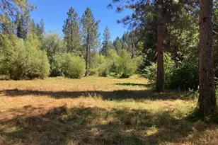 12948 Baker, Camptonville, CA 95922 - Photo 27
