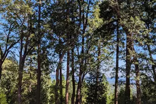 13625 Pegasus Pl, Nevada City, CA 95959 - Photo 1