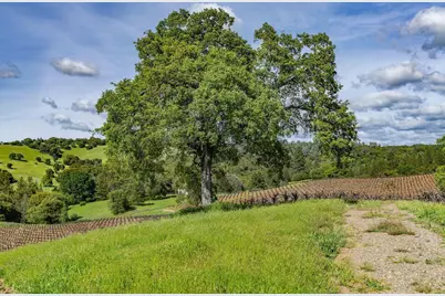 15111 Tyler Road, Fiddletown, CA 95629 - Photo 75