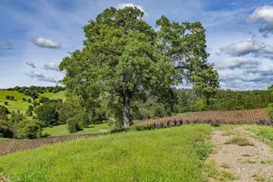 15111 Tyler Rd, Fiddletown, CA 95629 - Photo 75