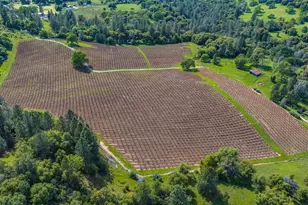 15111 Tyler Rd, Fiddletown, CA 95629 - Photo 3