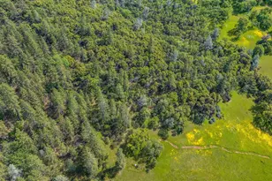 15111 Tyler Rd, Fiddletown, CA 95629 - Photo 83