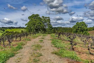 15111 Tyler Road, Fiddletown, CA 95629 - Photo 77