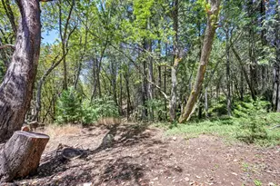 2585 Crystal Springs Rd, Camino, CA 95709 - Photo 87