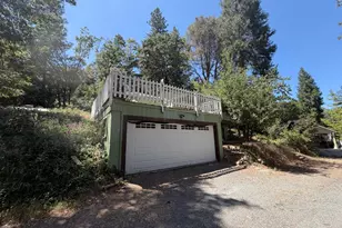 323 Knorr Swiss Ln, Colfax, CA 95713 - Photo 3