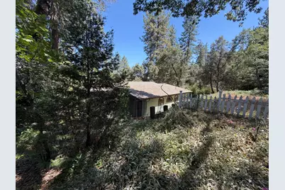 323 Knorr Swiss Lane, Colfax, CA 95713 - Photo 19