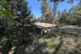 323 Knorr Swiss Ln, Colfax, CA 95713 - Photo 19