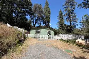 323 Knorr Swiss Ln, Colfax, CA 95713 - Photo 13