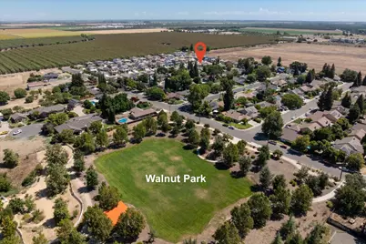 437 Young Drive, Winters, CA 95694 - Photo 35