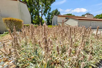 4848 El Cemonte Avenue #5, Davis, CA 95618 - Photo 27