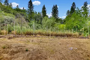 26156 Sweetland Rd, North San Juan, CA 95960 - Photo 61
