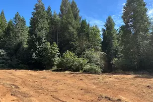 0 Caine, Alta, CA 95701 - Photo 1