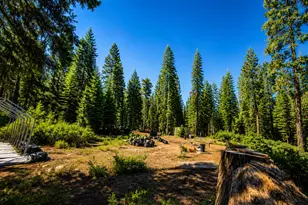 30196 Buckthorn Ln, Nevada City, CA 95959 - Photo 1
