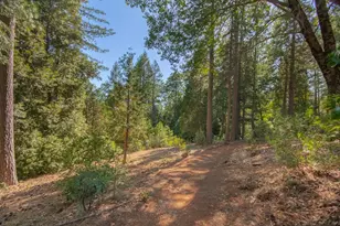 10647 Forbestown Rd, Challenge, CA 95925 - Photo 11