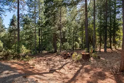 10647 Forbestown Road, Challenge, CA 95925 - Photo 75