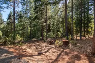10647 Forbestown Rd, Challenge, CA 95925 - Photo 75
