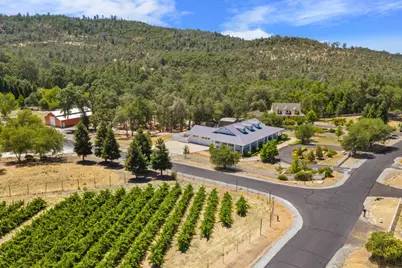 956 Chardonnay Court, Murphys, CA 95247 - Photo 7